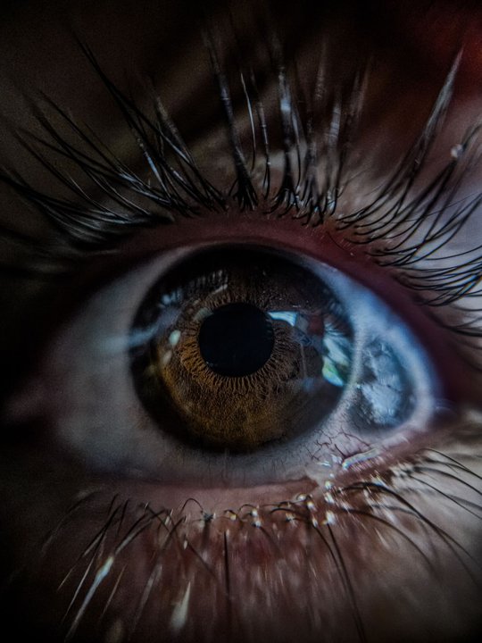 3 cosas que tu cerebro ocultó