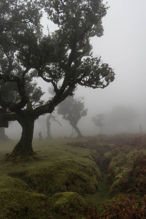El Origen de Halloween: Samhain y Más Allá