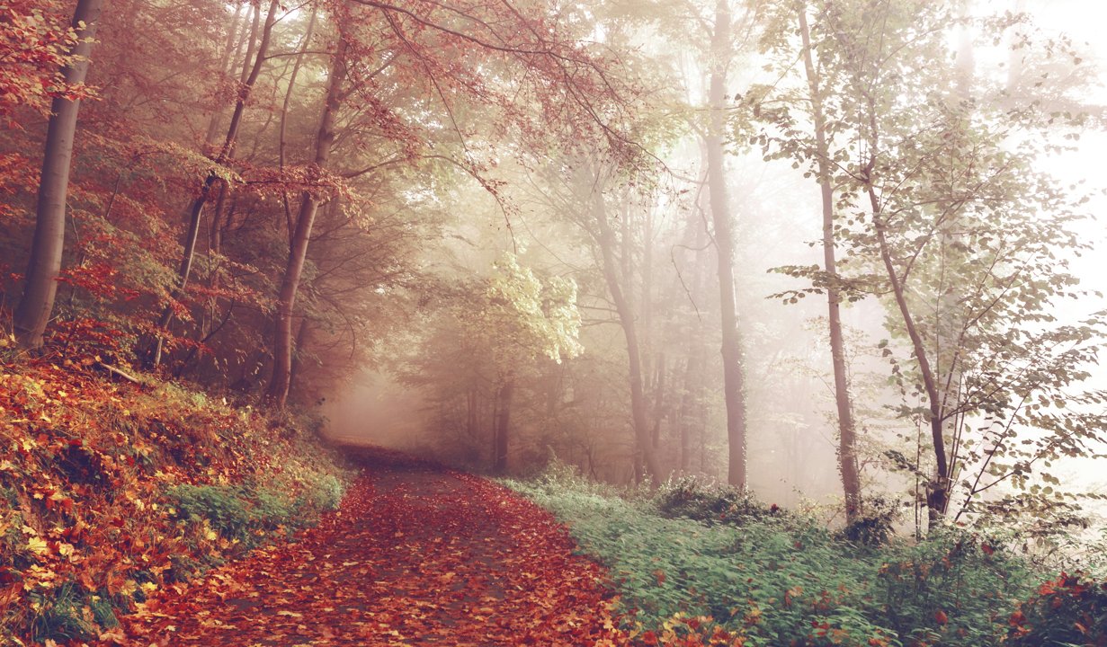 Autumn Learning Adventure