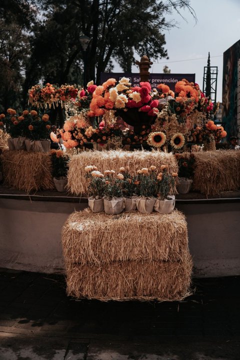 Significado de la ofrenda del Día de Muertos