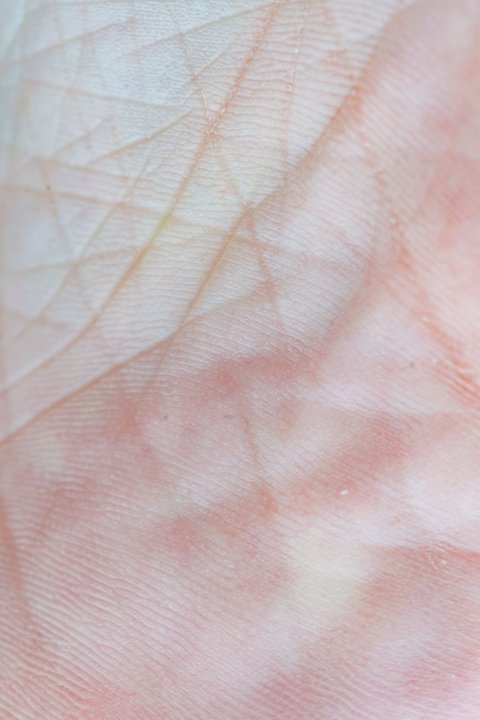 5 Human Body Facts That Sound Fake But Are True
