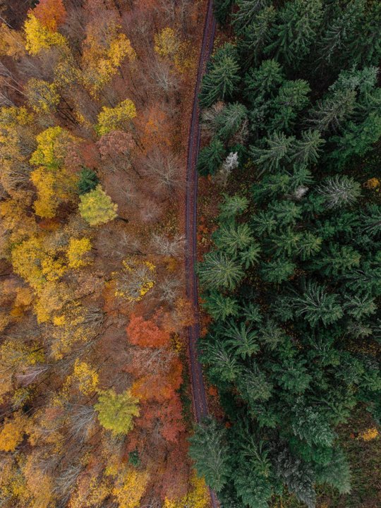 Autumn in Finland – A Magical Season of Colors