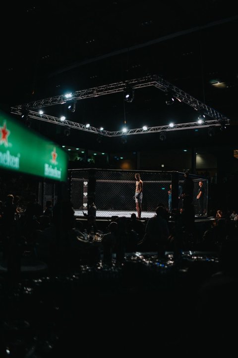 13 Seconds: McGregor's Shock Knockout at UFC 194