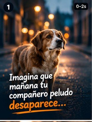 WebAlert Pets: Protege a tu compañero peludo